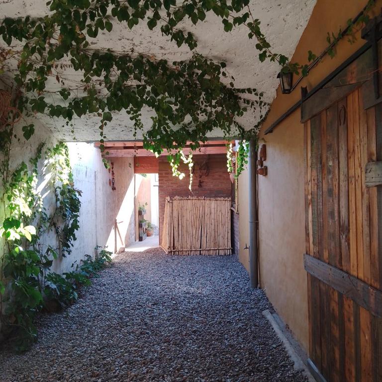 Flor de las Sierras - Bungalow con vistas al jardín - 4