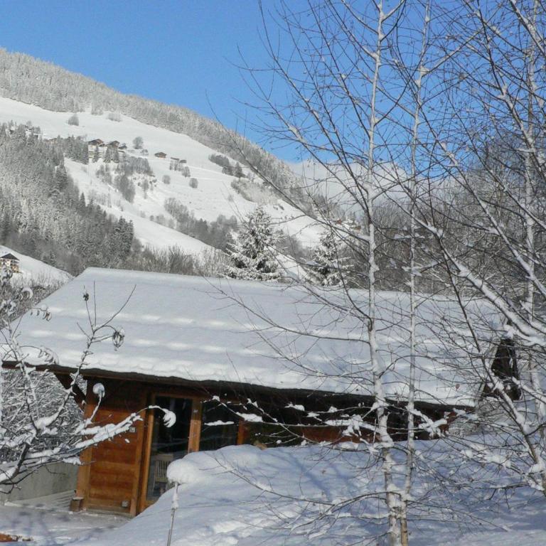 Petit chalet individuel de caractère - One-Bedroom Chalet - 15