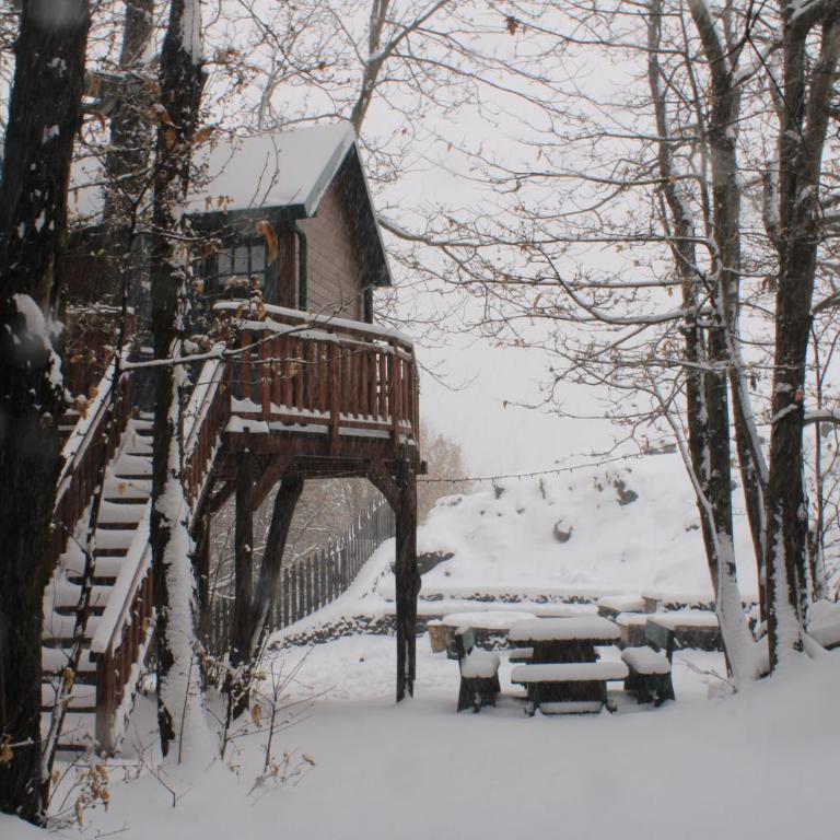 Matilde's Chalet Etna Nature House - Chalet - 70