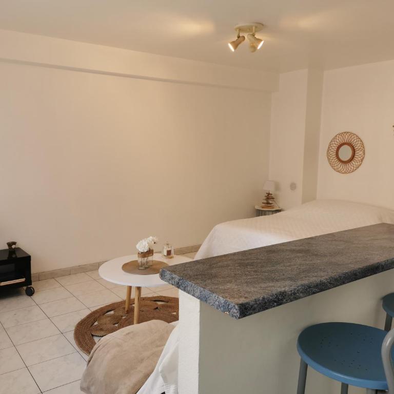 studio de 35m² entre antibes et juan les pins - Appartement 1 Chambre - 7