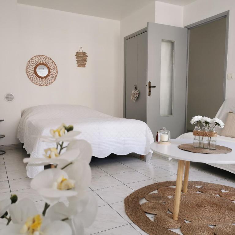 studio de 35m² entre antibes et juan les pins - Appartement 1 Chambre - 1