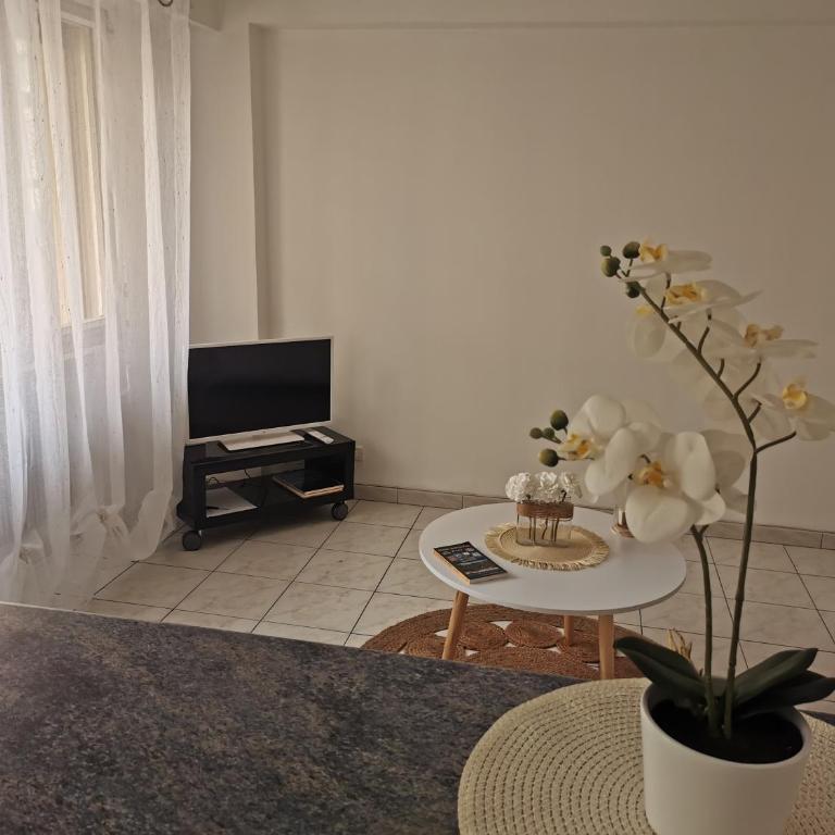studio de 35m² entre antibes et juan les pins - Appartement 1 Chambre - 6