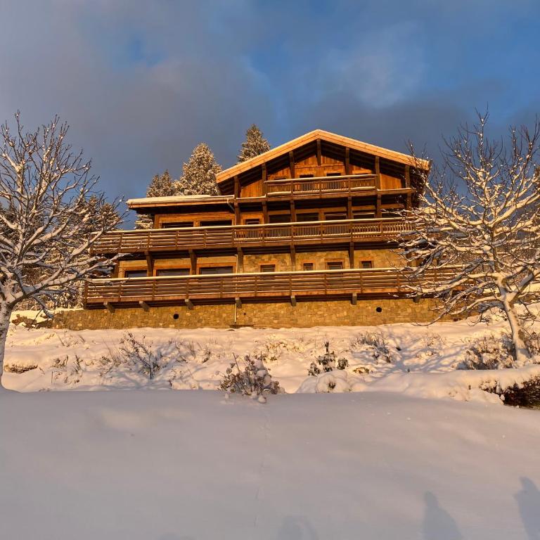 Aigle des Neiges 5 étoiles - Chalet - 4