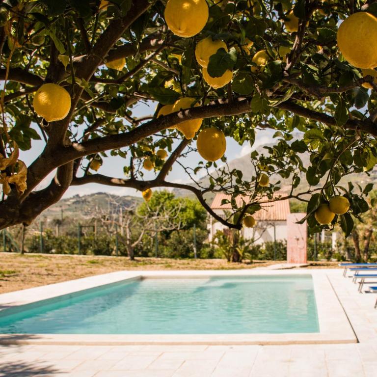 Scialari Country House - Villa - 10