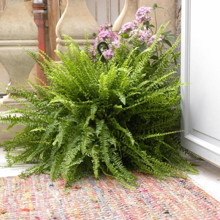 La Terrasse du Marché aux Fleurs - Apartment mit 2 Schlafzimmern und Terrasse - 26