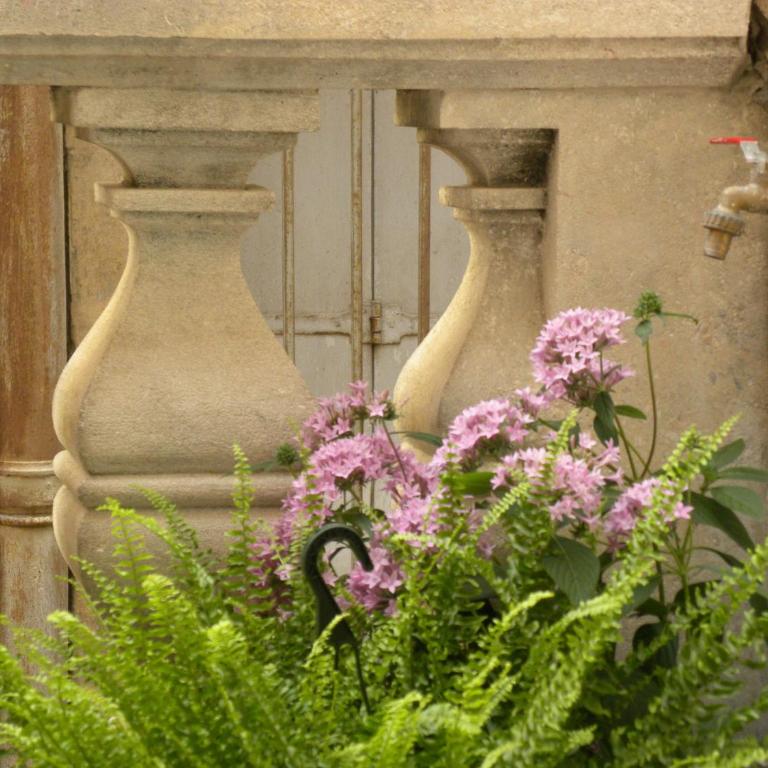La Terrasse du Marché aux Fleurs - Apartment mit 2 Schlafzimmern und Terrasse - 30