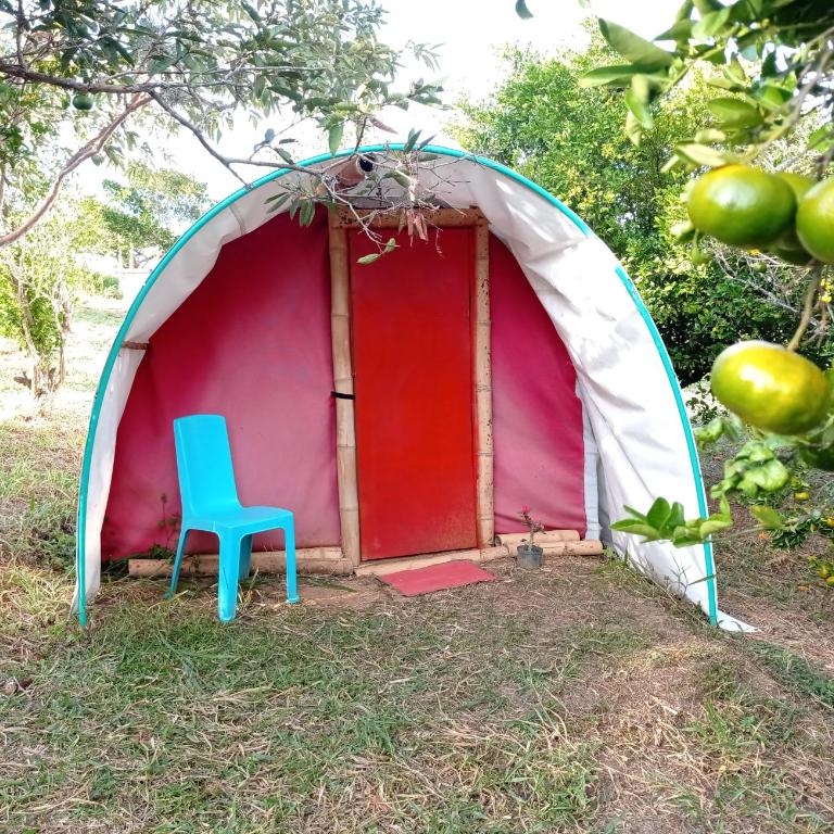 La Pacha Eco-Finca Glamping - Tienda - 3