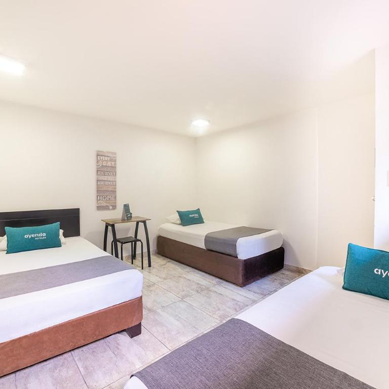 Hotel Ruta 65 - Habitación Triple - 6