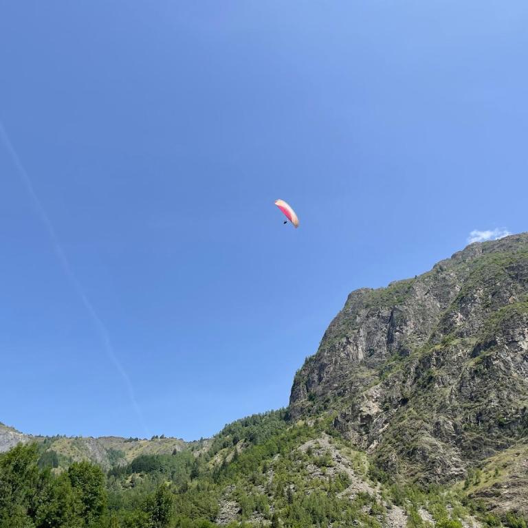Vénosc-Les 2 Alpes , Rez de jardin - Apartamento - Planta baja - 45