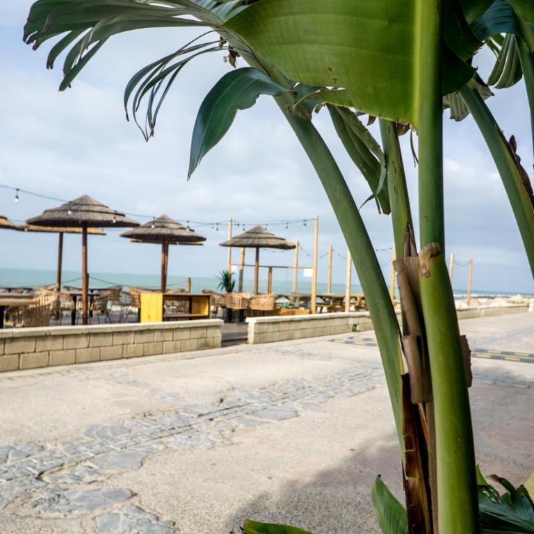 R&B Puerto Sherry Abohem - Apartamento de 1 dormitorio - 32
