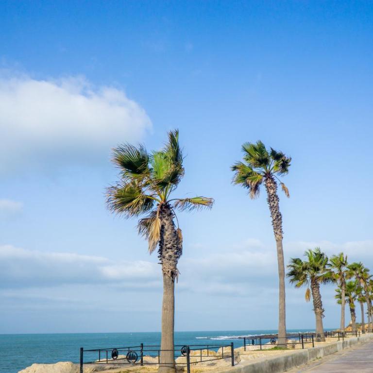 R&B Puerto Sherry Abohem - Apartamento de 1 dormitorio - 47