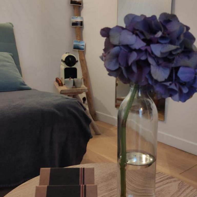 Dalhia Studio centre ville Biarritz - Appartement 1 Chambre - 5