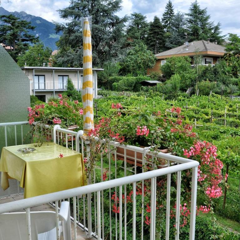 Hotel Zima - Camera Matrimoniale con Balcone - 7