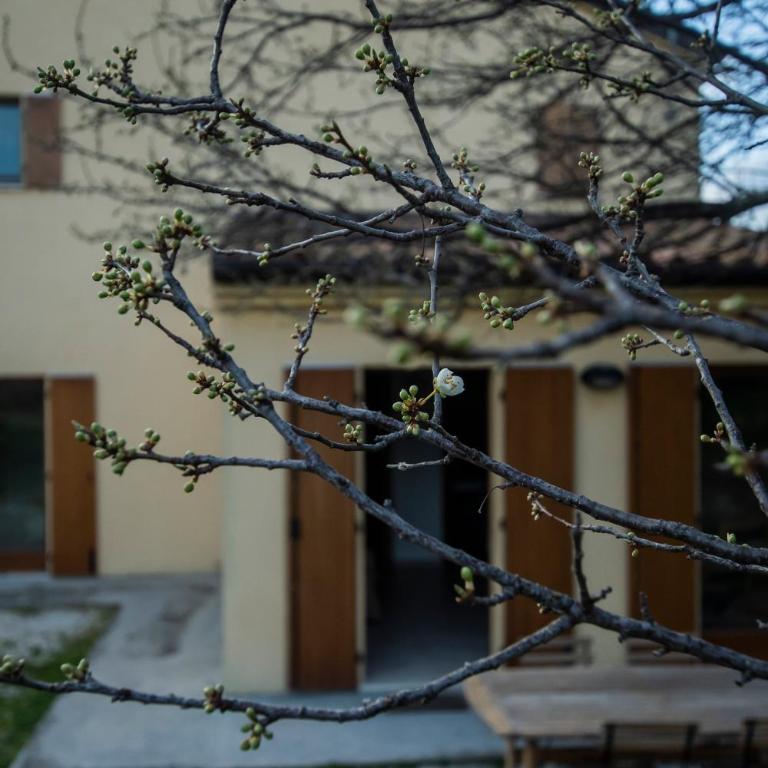 Agriturismo Conero - Appartamento Superior - 12