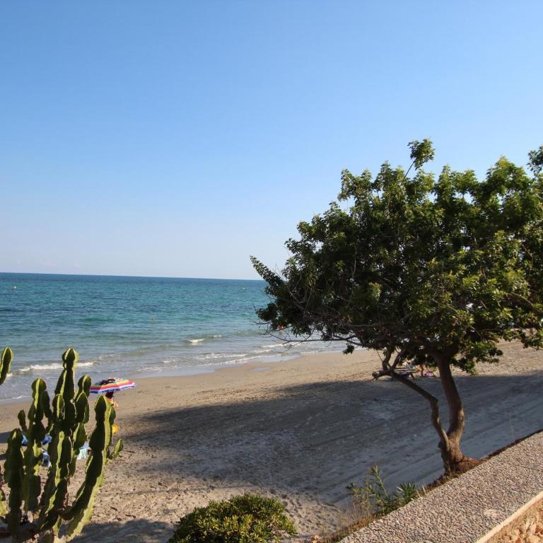 Apartamento Costa de la Calma by Rental Olé - Apartamento - 31