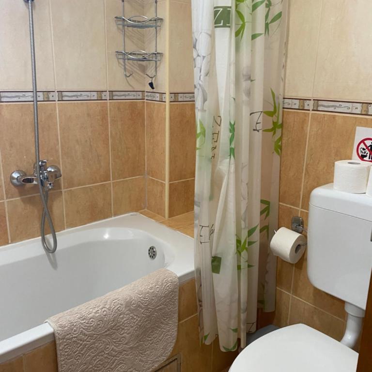 Apartments Villa Viktoria - One-Bedroom Apartment - 10