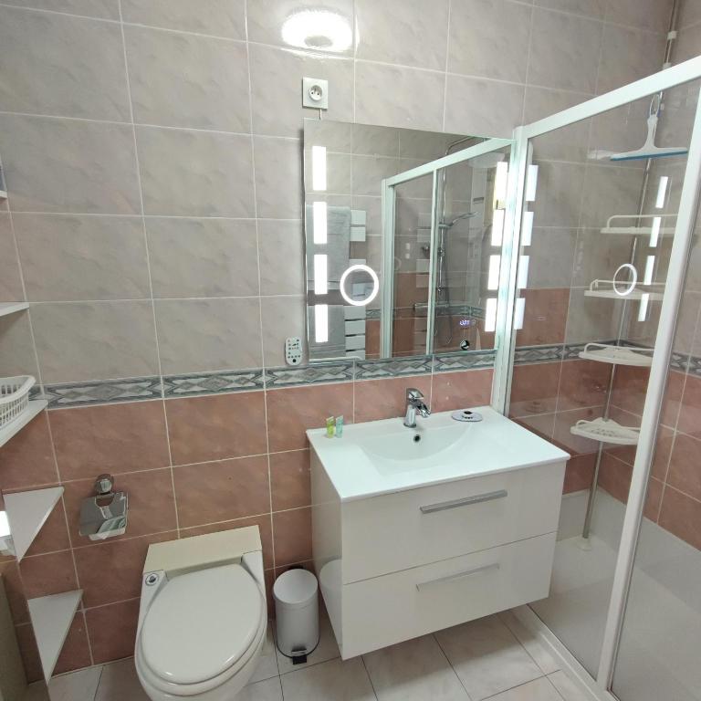 Grand studio bord de mer- accès direct aux plages - One-Bedroom Apartment - 12