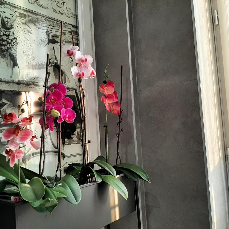 Welcome Verona Rooms - Deluxe Double Room - 10