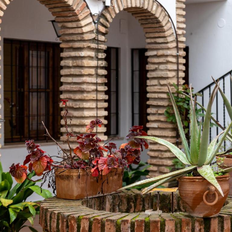 La Casita del Museo - Apartamento de 1 dormitorio - 21