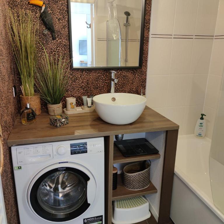 Lodge Du Petit Lion proche DISNEYLAND PARIS - Apartment - 11