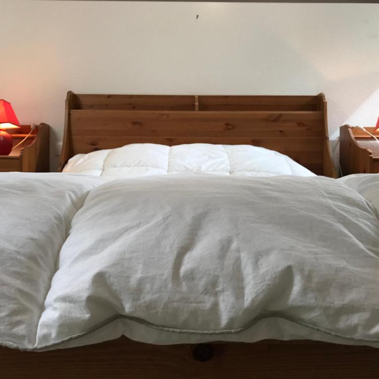 Place de la mairie T2 type loft 70m2 terrasse 35m2 - Appartement 2 Chambres - 7