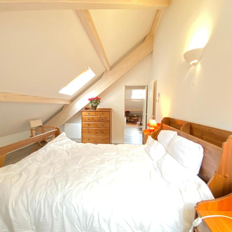 Place de la mairie T2 type loft 70m2 terrasse 35m2 - Appartement 2 Chambres - 15