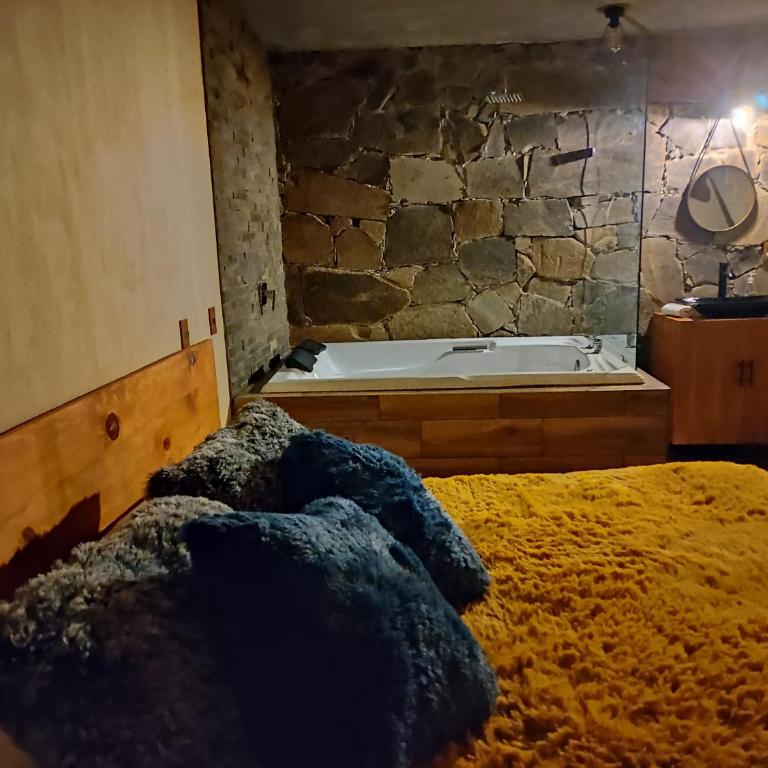 Cabañas San Marcos - Chalet de 2 dormitorios - 22