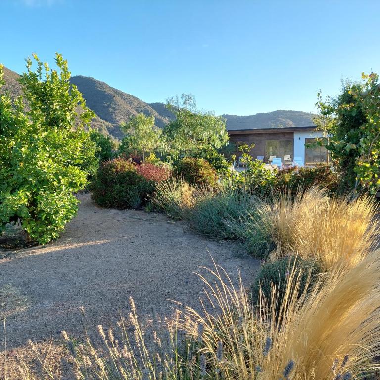 Callihue Lodge - Deluxe King Suite - 6