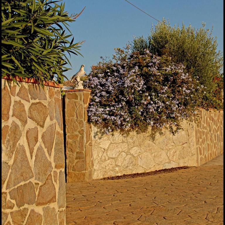 Mi Oasis - Casa - 22