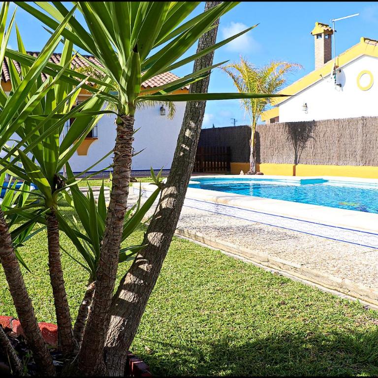 Chalet con piscina en Roche Viejo - Casa - 24