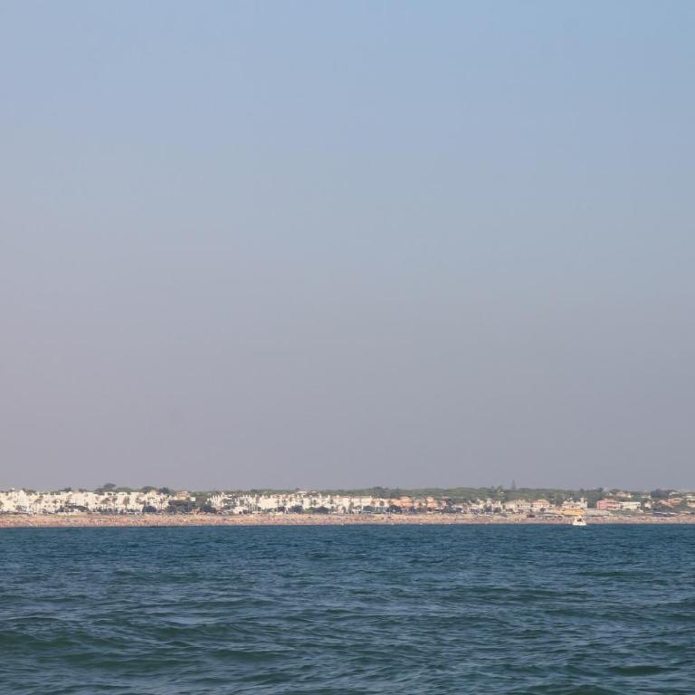 Apartamento Cervantes Conil II - Apartamento - 17