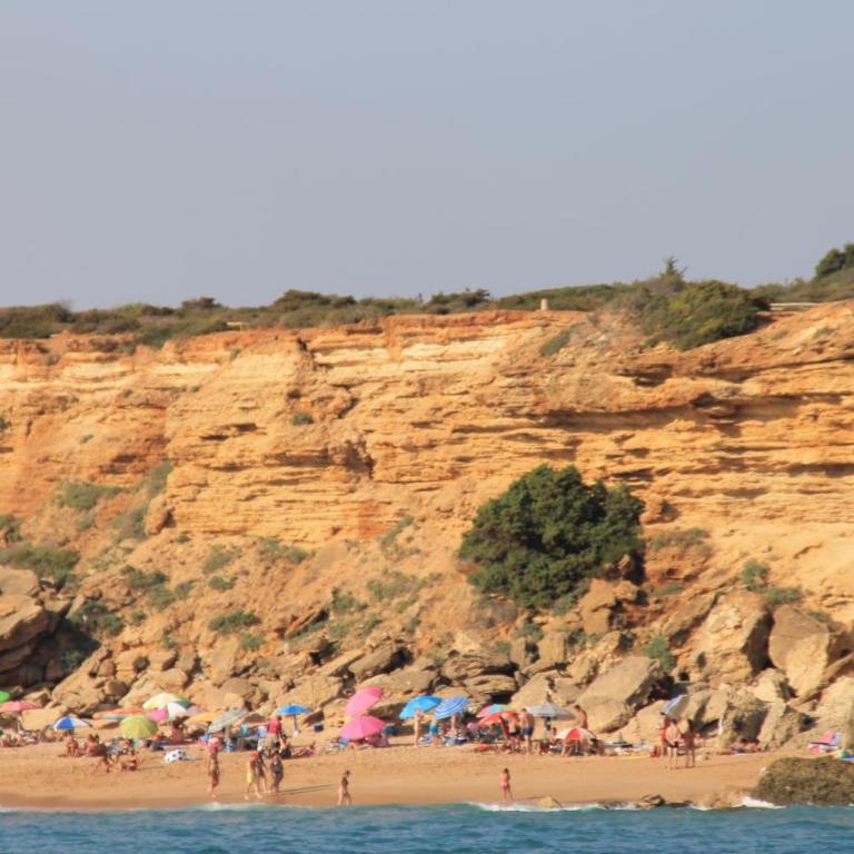 Apartamento Cervantes Conil II - Apartamento - 18