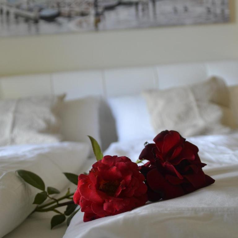 "Villa Giulia Nicole" Apartaments- Country House - Appartamento con Vista Lago - 13