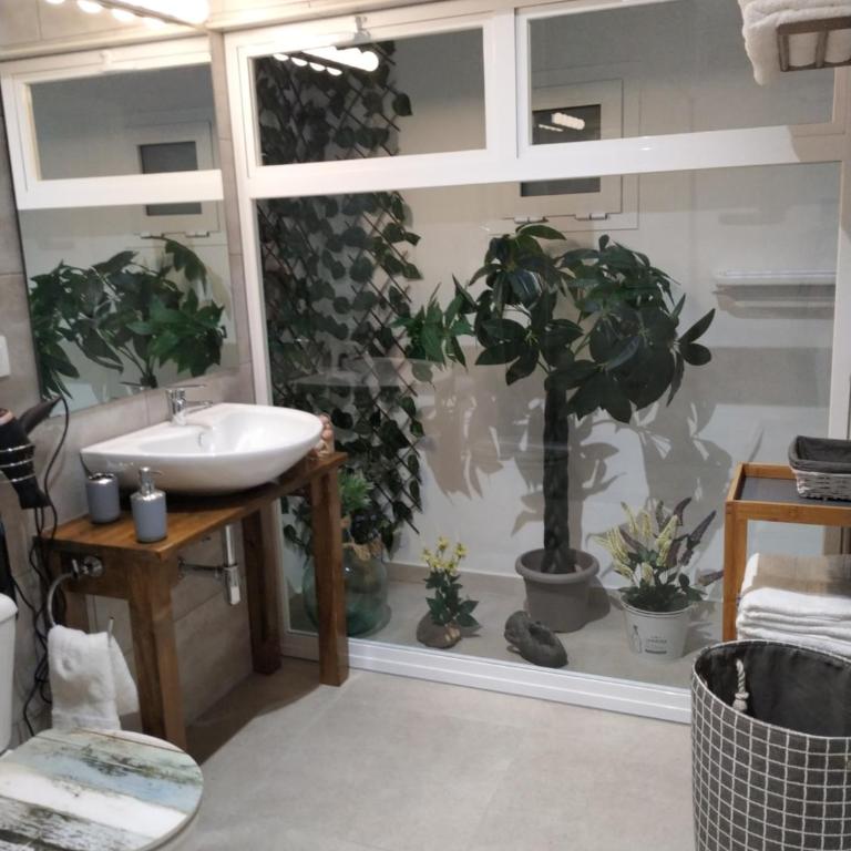Casa Guanche - Apartamento de 1 dormitorio - 14