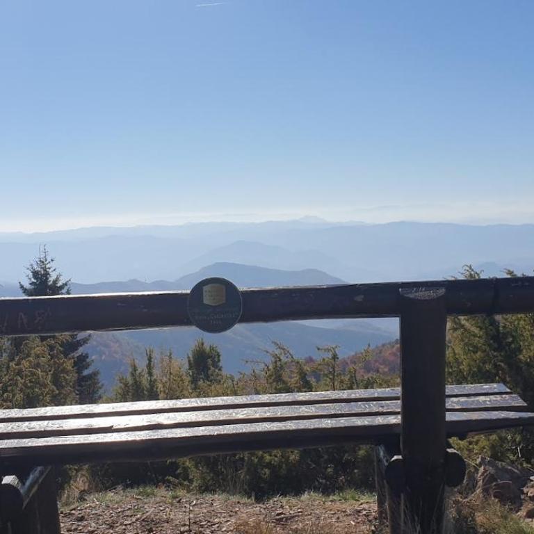 Kraljevi Cardaci 9D 12- Sunny view - Deluks Studio - 47