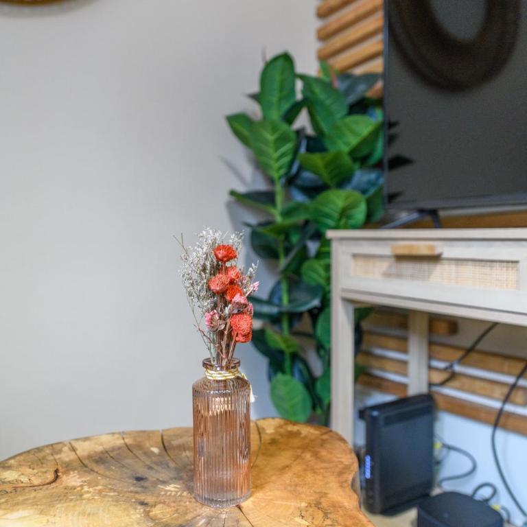 Instant de douceur au pied des Thermes - Apartment mit 1 Schlafzimmer - 10