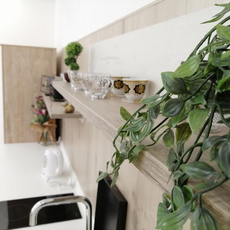 Studio Apartment - A Bit Of Joy - Studio Apartman - 29