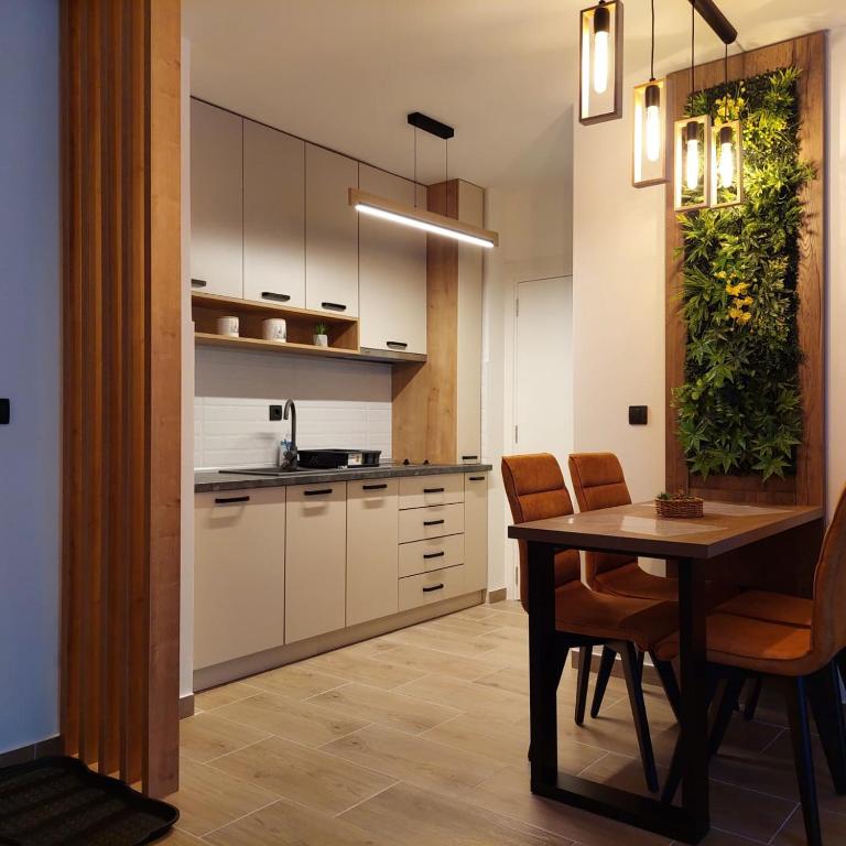 Apartlux Helena1 - Apartman sa 1 Spavaćom Sobom - 16