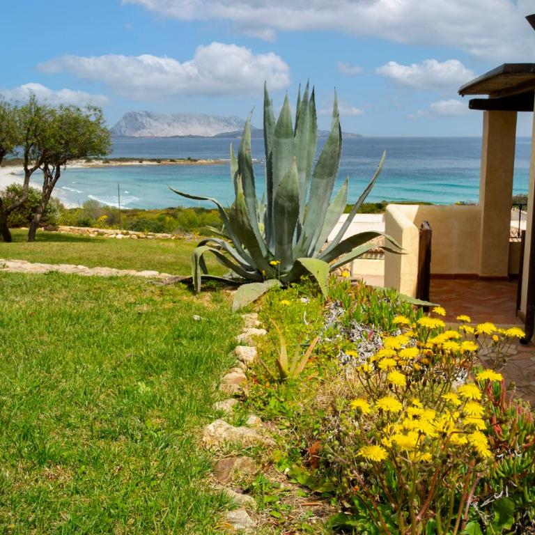 Villa Isuledda Prestige - Villa con Vista Mare - 59