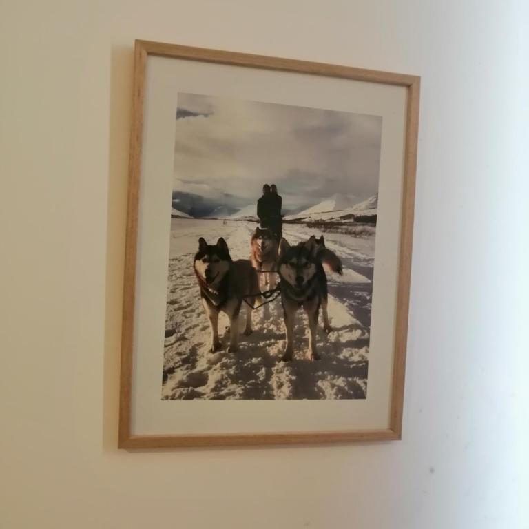 HUSKY Milmari - Apartman sa 1 Spavaćom Sobom - 27