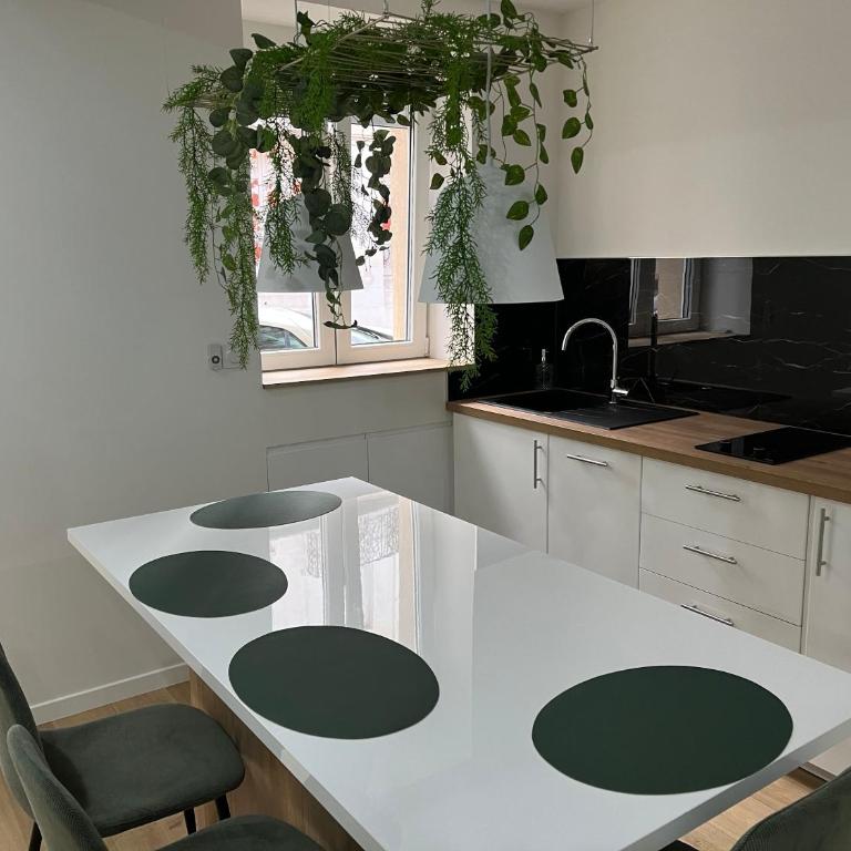 Appartement Luxe Jaune - Apartment mit Terrasse - 17