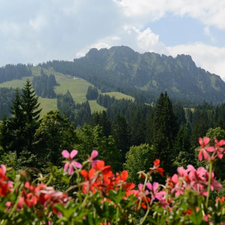 Alpinrefugium Haus am Anger - Appartamento con 1 Camera da Letto - 14