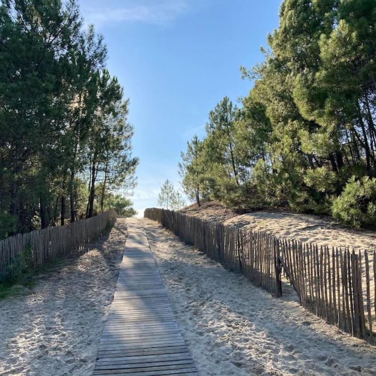 T2 dans quartier résidentiel sur le Bassin Arcachon avec location de vélos - Appartement 1 Chambre - 21