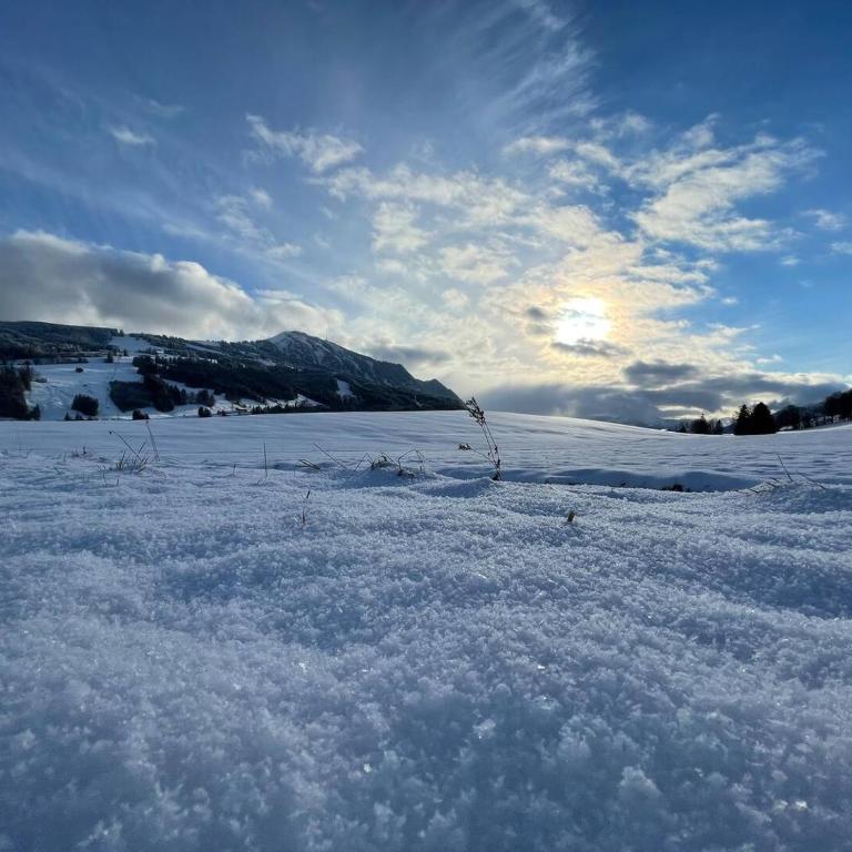 Appartement im Herzen des Allgäu‘s - Appartamento con 1 Camera da Letto - 4