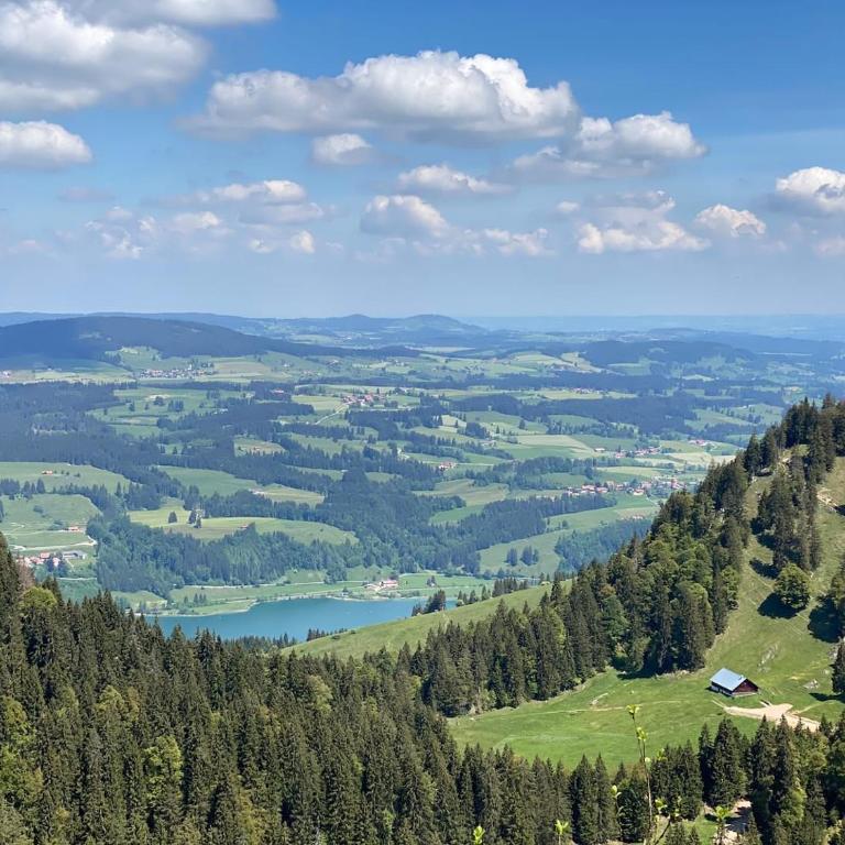 Appartement im Herzen des Allgäu‘s - Appartamento con 1 Camera da Letto - 9