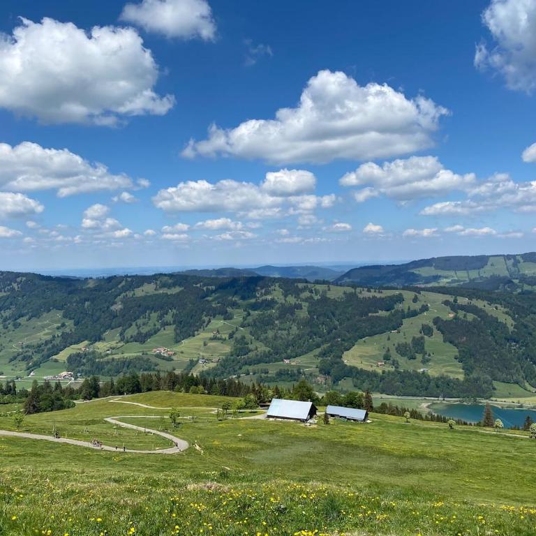 Appartement im Herzen des Allgäu‘s - Appartamento con 1 Camera da Letto - 18