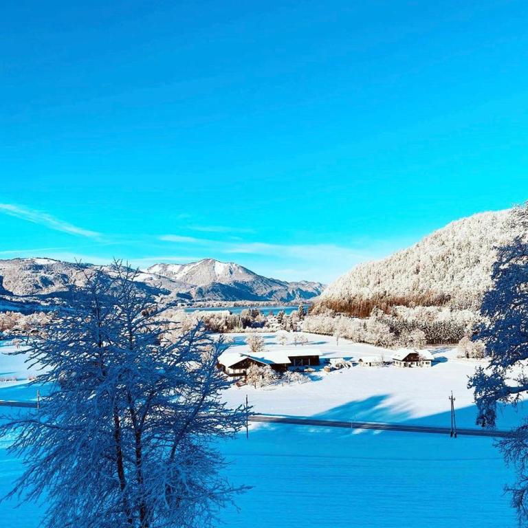 Wolfgangsee Seeblickplatzl 220 - mit tollem Seeblick! - Apartment mit 1 Schlafzimmer - 4