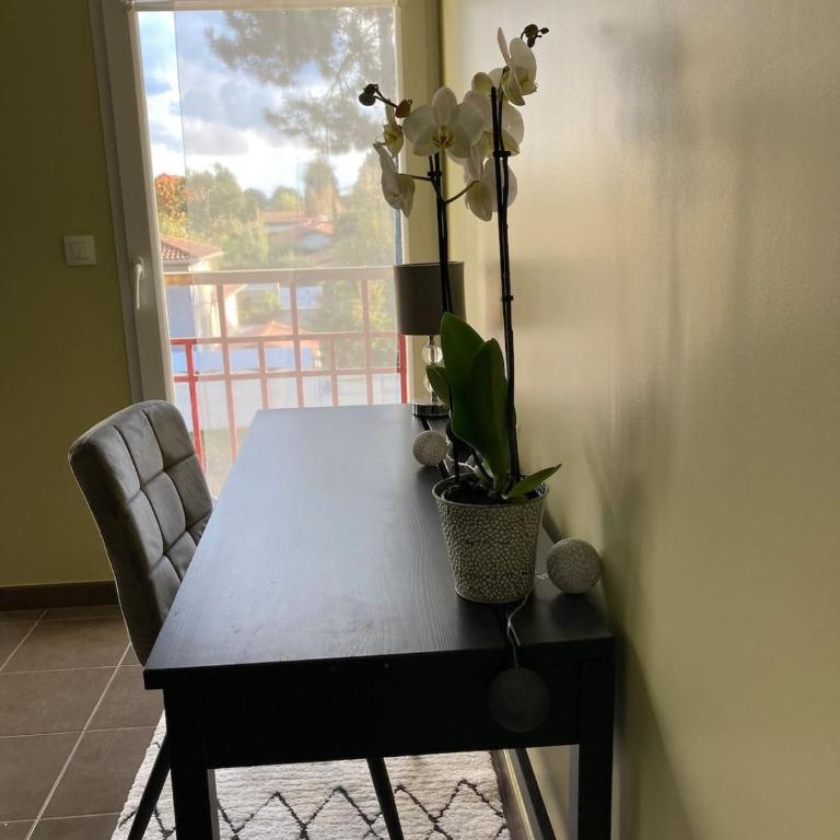T2 dans quartier résidentiel sur le Bassin Arcachon avec location de vélos - Appartement 1 Chambre - 9