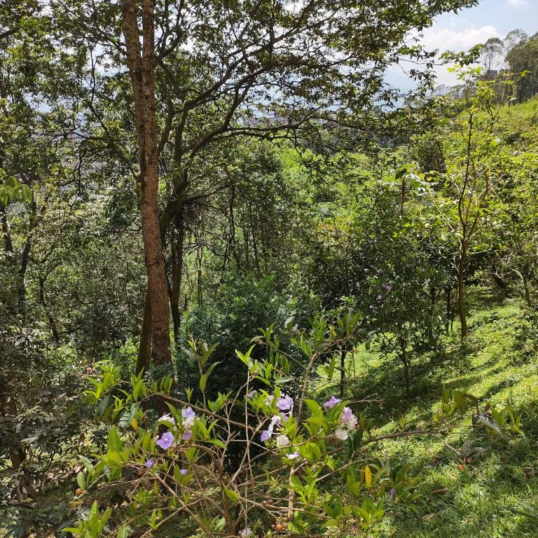 Hermoso Apartamento con vista a todo Medellín - Apartamento de 3 dormitorios - 51