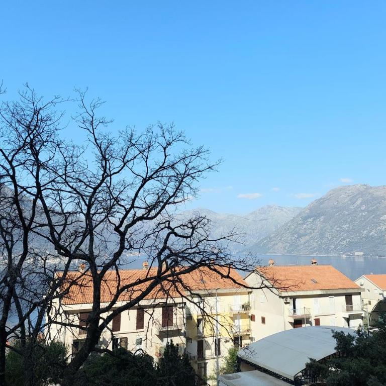 Apartman - Dobrota Sun - Apartment with Sea View - 10
